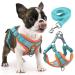 Rennaio dog harness no pull adjustable puppy dishes with 2 linen clips ultra comfortable chest harness and leash set for small and medium-sized dogs (Seeblau S) Seeblau S
