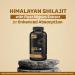 Himalayan Shilajit Capsules | Pure & Potent | Improves Muscle Strength Stamina Energy & Power | Supports Faster Recovery | Natural & Organic | 60 Capsules 60 Count (Pack of 1) - Buy Online on GoSupps.com