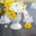 CCOZN 35-Piece Tiny Resin Bees Embellishments with Box - DIY Wreath & Scrapbooking Decor - Buy Online on GoSupps.com