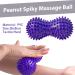 Massage Ball Set - 7 Hedgehog Massage Balls for Fascia Relief | Spiky Self-Massage Tools for Back Legs Feet & Hands - Buy Online on GoSupps.com