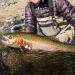 Yzd Fly Fishing: Top 10 Large Trout Flies | Premium Wet & Dry Lures Streamers Nymphs & Emergers for Trout Bass & Salmon - Buy Online on GoSupps.com