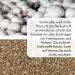Buy Terra Exotica Vermiculite 100 Liters (Coarse 0-6 mm) for Optimal Plant Growth - International Shipping Available - Buy Online on GoSupps.com