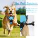 Rabbitgoo Dog Harness for Medium Dogs - No Pull Adjustable Breathable Safe & Stylish - Light Blue (1 Pack) - Buy Online on GoSupps.com