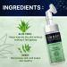 Buy SWOSH Aloe Vera and Neem Foaming Face Wash with Silicone Exfoliating Brush - 100 ml | Perfect for Men & Women | International Shipping Available - Buy Online on GoSupps.com