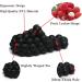 Cloud Cushion Bubble Slides Slippers for Women Men - Non-slip Spa Reflexology Sandals for Stress Relief - Black, Size 9.5-10 Women/7.5-8 Men - Buy Online on GoSupps.com