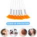 Baluue 12 Pcs Beauty Mask Brush Makeup Brushes Mask Applicator Brushes for Facials Fan Artificial Fiber 15x4cmx2pcs Yellowx2pcs - Buy Online on GoSupps.com