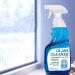 Glass Descaling Cleaner - Powerful Bathroom Glass Descaling Solution for Window | Household Glass Stain Remover for Shower Room Bathroom Living Room Cabinet Thaely - Buy Online on GoSupps.com