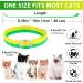 Cat Collar Set of 4 - 48cm - Stylish Green & Yellow Design for International Shipping - Buy Online on GoSupps.com