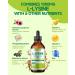 LAMGINY L-lysine 1000mg Supplement, Liposomal Lysine Liquid Drops for Adults, Essential Amino Acid - Immune Support, Skin & Lip Health, Collagen Synthesis, Vegan, Non-GMO & Gluten-Free, 4 fl oz - Buy Online on GoSupps.com