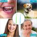 WLLHYF 2 Pack Orthodontic Toothbrush - Very Soft Tufted Toothbrush for Braces & Detail Cleaning | Blue & Green - Buy Online on GoSupps.com