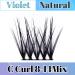 Cluster Lashes Individual Eyelashes C Curl Lash Clusters Soft and Reusable Eyelashes Individual DIY Lash Extensions 8mm 10mm 12mm 14mm by Obeyalash (Mix 8-14mix C Curl Natural-Violet) 5-WL-011 - Buy Online on GoSupps.com