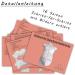 Plaster Cast Baby Belly Finishing Set | Smooth & Finish Perfectly | International Shipping Available - Buy Online on GoSupps.com