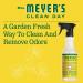 Mrs. Meyer's Clean Day Multi-Surface Cleaner Spray All-Purpose Cleaner Solution for Countertops Floors Walls and More Honeysuckle Scent 473 ml Spray Bottle Honeysuckle 473 ml (Pack of 1) - Buy Online on GoSupps.com