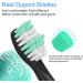 8 Pack Fairywill Electric Toothbrush Replacement Heads - Compatible with FW-507/508/551/D1/D3/D7/D8/FW908/FW910/917/949/958/959/FW610/FW659/FW719 - 8 Count - Buy Online on GoSupps.com