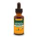 Herb Pharm Certified Organic Echinacea Root Liquid Extract for Immune System Support, Alcohol-Free Glycerite, 1 Ounce 1 Fl Oz (Pack of 1) Alcohol-free Glycerite