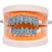 Hip Hop Blue Zircon Teeth Grillz Top Bottom Tooth Cap Decor Dental Grills for Unisex Rapper Jewelry Silver lower teeth - Buy Online on GoSupps.com
