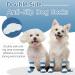 Kuoser Dog Socks - 3 Pairs Anti-Slip Paw Protection Shoes for Hardwood Floors - XS Blue (6-Pack) - Ideal for Comfort & Safety - Buy Online on GoSupps.com