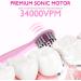 Dinosaur Toothbrush Kids Sonic Electric Toothbrush for Children Toddlers Boys Girls Age 3-12 with 30s Reminder 2 Mins Timer 5 Modes 6 Brush Heads Rechargeable Wall-Mounted Holder 8680 Pink+ 6 Heads+ Holder(package Might Vary) - Buy Online on GoSupps.com