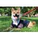Zubaz NFL Arizona Cardinals Reversible Pet Bandana for Dogs & Cats - Small/Medium - Buy Online on GoSupps.com