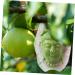 GANAZONO Fruits Forming Mould Vegetable Ginseng Vegetable Shaping Fruit Cucumber Fruits and Vegetables - Buy Online on GoSupps.com