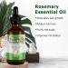 Rosemary Oil & Biotin Serum for Hair Growth | Nourish Scalp, Improve Circulation, Enhance Shine | Hair Loss Treatment | Pure Natural Formula | 2 fl oz (2PC) - Buy Online on GoSupps.com