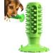 ONLYNENY TAGE Dog Cleaning Toy - Suction Cup Toothbrush for Dogs Crunching Sound Ideal for Shelters & Clinics - Green - Buy Online on GoSupps.com