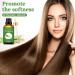 Citronella Essential Oil 100Ml Premium Therapeutic Grade Citronella Oil 100% Pure and Natural Scented Oil for Skin Hair Diffuser Aromatherapy Massage Candle Making SE-Citronella 100ML - Buy Online on GoSupps.com