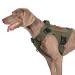 OneTigris Fire Watcher 2.0 Molle dog harness with handle and metal buckle L green
