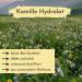 Nakobe Bio Roman Chamomile Hydrolate 1000ml - Pure Organic Artemis Nobilis Flower Water - 100% Natural Soothing Skin Care - Buy Online on GoSupps.com