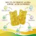 Alpha Lipoic Acid Gummies 600mg - ALA Supplement for Antioxidant Brain Health and Nerve* Support with Biotin & Benfotiamine Vitamin B1 B12 B6 E Pineapple Flavor Vegan Sugar Free 60 Gummies - Buy Online on GoSupps.com