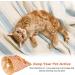 Cat Tunnel Toy Collapsible Pet Tunnel Tube Bags Indoor Toy with Fun Ball Colorful Cute Pattern Interactive Cat Toys for Kittens Puppy Exercising Hiding Training(COLOR:B) - Buy Online on GoSupps.com