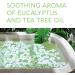 Nature's Beauty Eucalyptus & Tea Tree Bath Bomb 4.6 oz - 4-Pack Fizzy Spa Bath Bombs with Coconut Oil & Witch Hazel for Skin Soothing & Energy Restoration - Buy Online on GoSupps.com