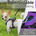 Eagloo Small Dog Harness - Adjustable Anti-Train Harness with Reflex Strips for Walking & Jogging - Durable Purple XS (1 Pack) - Buy Online on GoSupps.com