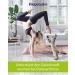Flexadin Advanced Cat - Joint Health Supplement with UC-II Collagen | 60 Gelatin Capsules for Cats - Buy Online on GoSupps.com