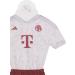 FC Bayern Munich Car Mini Kit | UCL 2023-24 Car Decoration | International Shipping Available - Buy Online on GoSupps.com