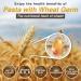 Morelli Busiate Pici and Bucatini Organic Pasta Variety Pack - Imported Italian Sampler - 3-17.6 oz Packages of Gourmet Pasta from Italy - Buy Online on GoSupps.com