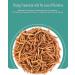 Dried Mealworms 3.5oz - Pet Food for Reptiles, Birds, Fish, and Small Animals - Buy Online on GoSupps.com