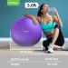 Trideer 65cm Purple Exercise Ball Chair with Base & Bands - Home Gym Workout & Back Pain Relief - Buy Online on GoSupps.com