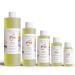 Mango Pineapple Fragrance Oil - 10ml Roll On | Exotic Scent for Home & Body - Buy Online on GoSupps.com