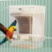 Jodsen Automatic Bird Feeder Pet Feeder Bird Cage Accessory Transparent Double Compartment Hanging Seed Food Container for Small Medium Budgerigar Parakeets Canary Cockatiel Finch Lovebirds(A) - Buy Online on GoSupps.com