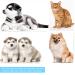Ruibow Double-Sided Lice & Flea Comb for Cats & Dogs - Stainless Steel Fine Teeth (2-Pack) | Multifunctional Pet Grooming Tool - Buy Online on GoSupps.com