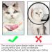 Cat Surgical Recovery Suit E-Collar Alternative for Cats Dogs After Surgery Wear Pajama Abdominal Wounds After Surgery Wear - Machine Washable - Kittens Physiological Clothes - Buy Online on GoSupps.com
