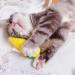 12Pcs Cat Catnip Toys AZOFFYIU Catnip Toys for Cats cat Toys for Indoor Cats Cat nip Toy Cat Toys Set Teething Chew Toy Pet Catnip Teeth Grinding Chew Toys - Buy Online on GoSupps.com