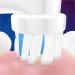 Oral-B Stages Power Frozen Kids Replacement Heads 4 Pack - Buy Online on GoSupps.com