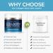 Collagen Face Cream with Stem Cells Retinol Hyaluronic Acid Niacinamide for All Skin Types - Anti-Aging Face Moisturizer with Airless Pump - Day & Night Cream for Wrinkles - Made in USA 1.7 Oz Collagen Stem Cell 1.7 Fl Oz (  - Buy Online on GoSupps.com