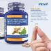 Zipvit Ginkgo Biloba & Siberian Ginseng 6000mg + 600mg with Vitamins B3 & B5 - 120 Vegan Tablets for Focus & Energy | 4 Months Supply - Buy Online on GoSupps.com