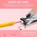 Econtal Nail Clippers Set of 4 Small Slanted with Nail File Cuticle Remover Pusher & Clippers Pliers | Best Quality Manicure Tools for Perfect Nails - Buy Online on GoSupps.com