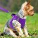 Buy Joytale Reflective Dog Harness for Small Dogs | Soft Padded Air-Mesh Solutions | Purple Size S (38-42cm) - International Shipping Available - Buy Online on GoSupps.com