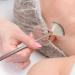 Soft Facial Applicator Brushes Champagne Facial Fan Mask Brushes for Everyday Use - Buy Online on GoSupps.com