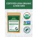 TeeLux Organic Green Tea Bags 100 Count - Super Antioxidant Green Tea for Overall Health - Buy Online on GoSupps.com